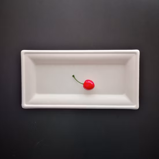 Biodegradável Compostável Bagaço de Cana Moldagem de Polpa Embalagem Descartável Papel Talheres Prato Produtos Descartáveis Ecologicamente Corretos