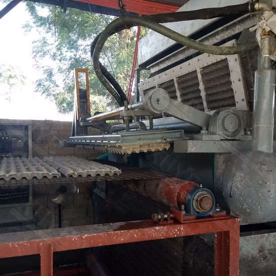 Máquina de moldagem de celulose de resíduos de papel Máquina de bandeja de ovos com preço de fábrica