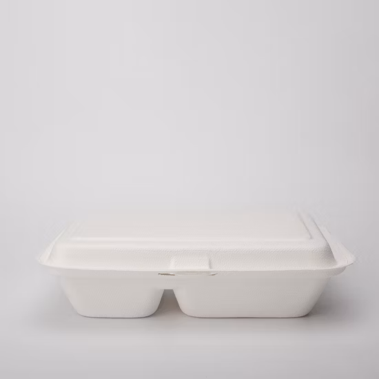 Utensílios de mesa descartáveis ​​Bagaço de cana-de-açúcar Caixa de alimentos 100% Polpa compostável Talheres biodegradáveis ​​Talheres para levar Recipientes para alimentos