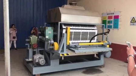 Máquina automática de molde para bandeja de ovos de polpa de papel de super qualidade